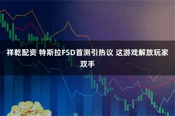 祥乾配资 特斯拉FSD首测引热议 这游戏解放玩家双手