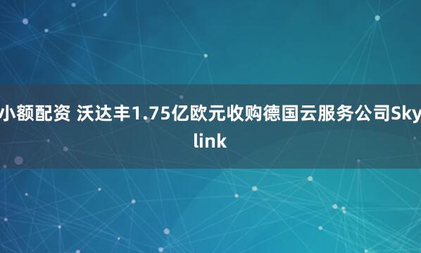 小额配资 沃达丰1.75亿欧元收购德国云服务公司Skylink