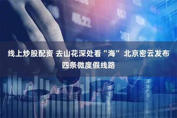 线上炒股配资 去山花深处看“海” 北京密云发布四条微度假线路