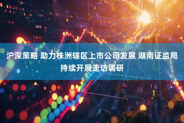 沪深策略 助力株洲辖区上市公司发展 湖南证监局持续开展走访调研