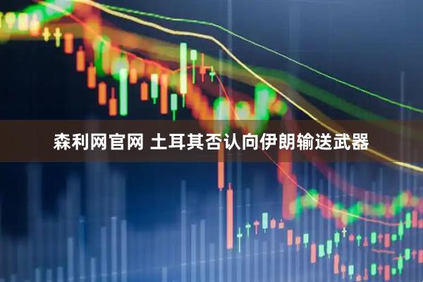 森利网官网 土耳其否认向伊朗输送武器