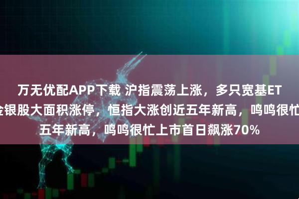 万无优配APP下载 沪指震荡上涨，多只宽基ETF成交再刷天量，金银股大面积涨停，恒指大涨创近五年新高，鸣鸣很忙上市首日飙涨70%